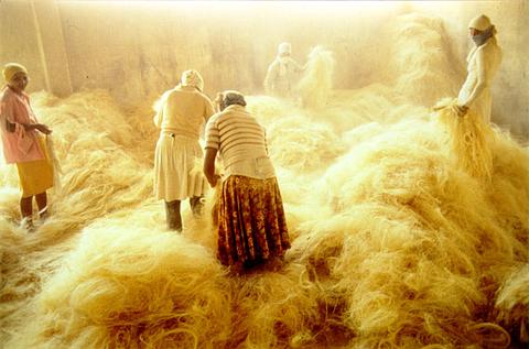 Nair Benedicto e as Mulheres no Sisal